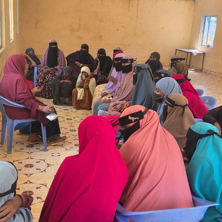 whatsapp image 2025 12 22 at 8.26.46 am (1)