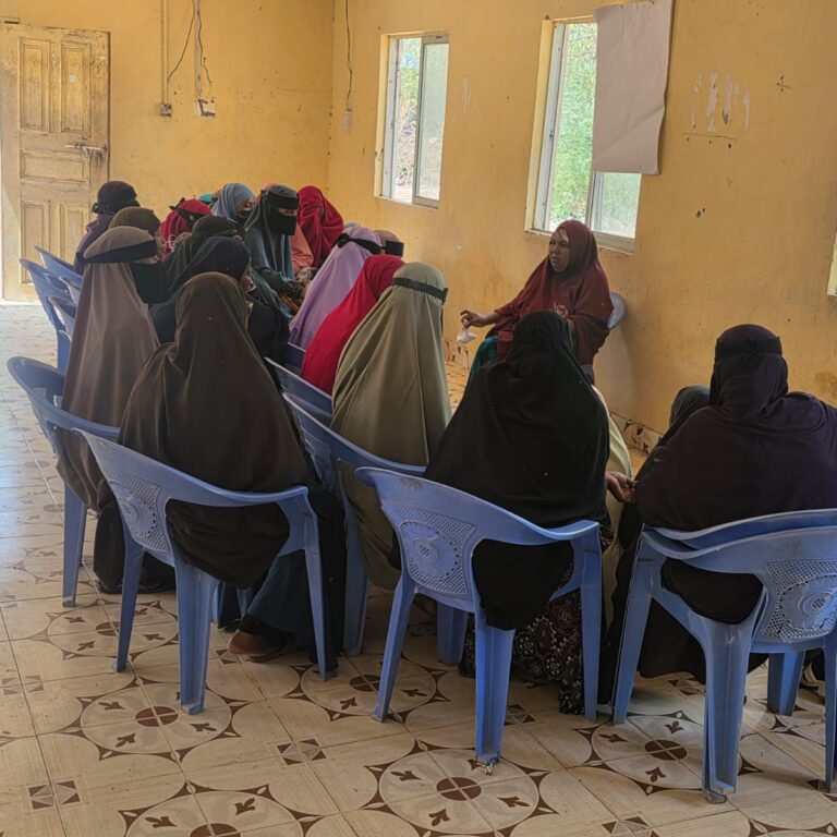 whatsapp image 2025 12 22 at 8.26.46 am