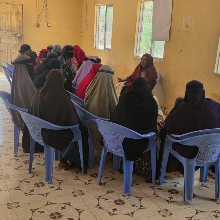 whatsapp image 2025 12 22 at 8.26.48 am